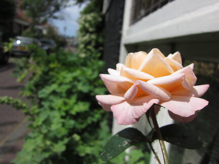 20110513 112744